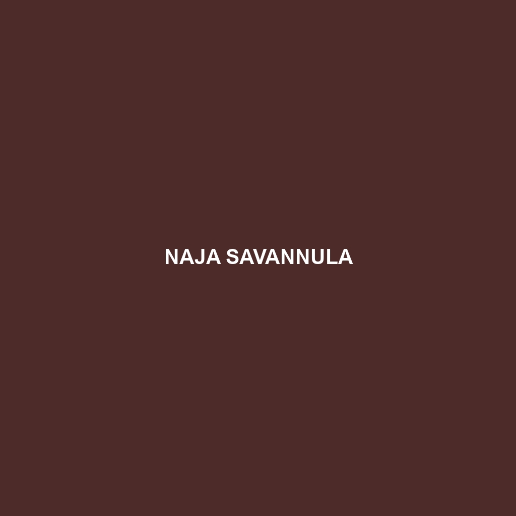 Naja savannula