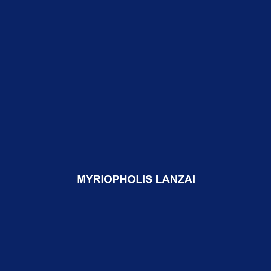 Myriopholis lanzai