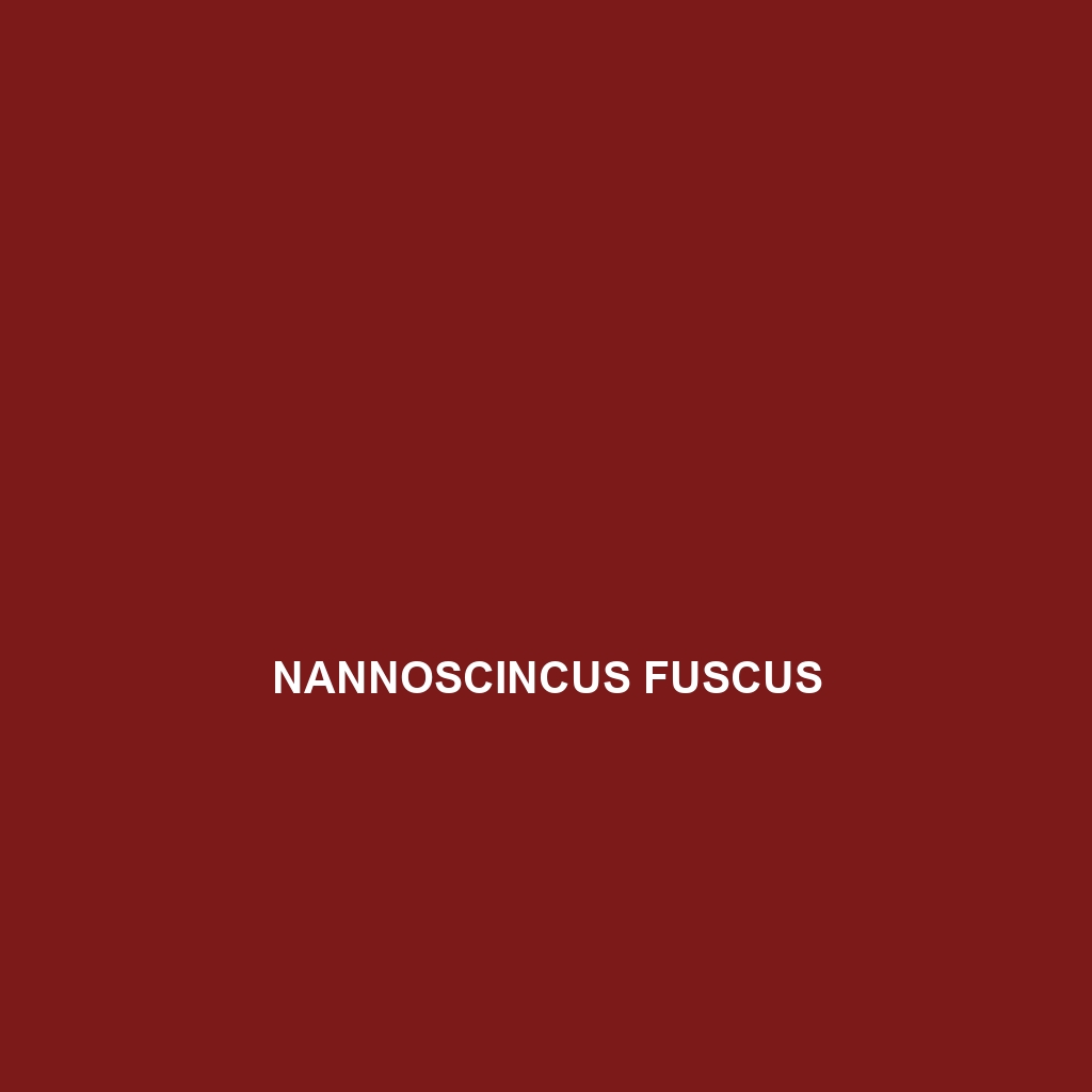 Nannoscincus fuscus