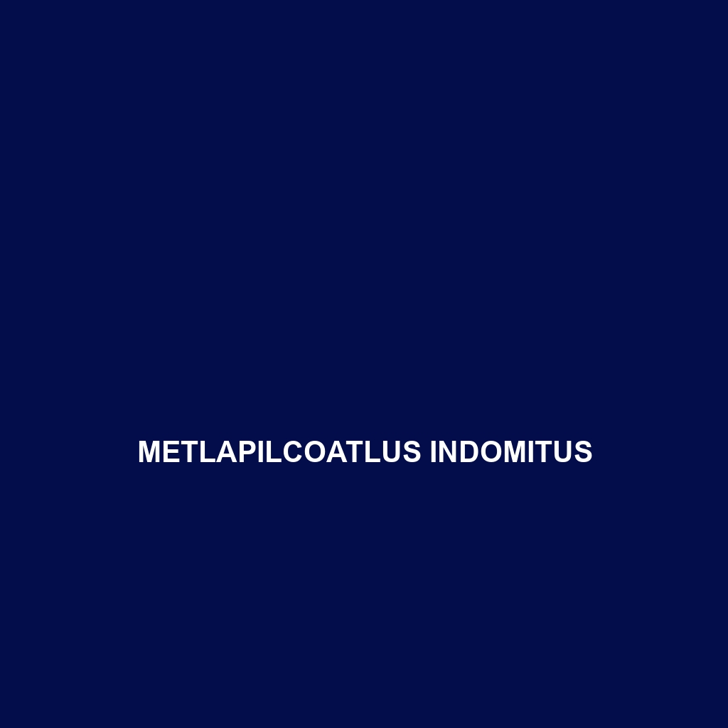 Metlapilcoatlus indomitus