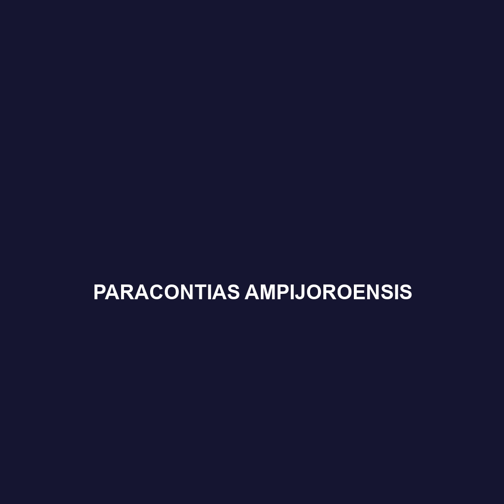 Paracontias ampijoroensis