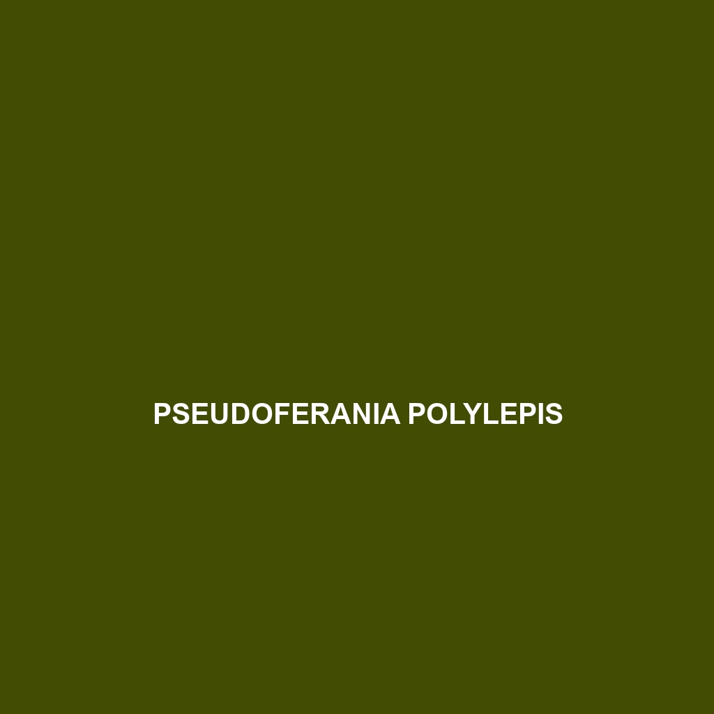 Pseudoferania polylepis