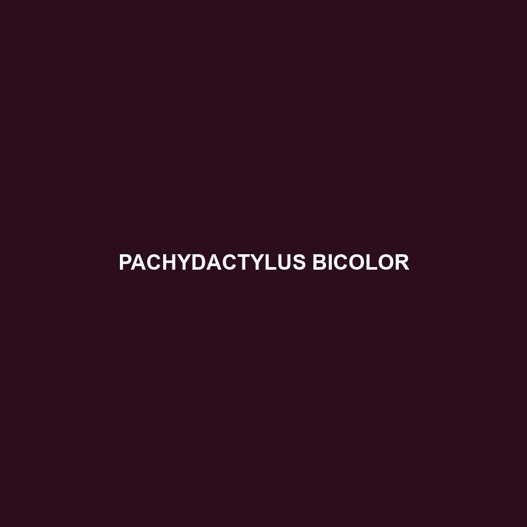 Pachydactylus bicolor