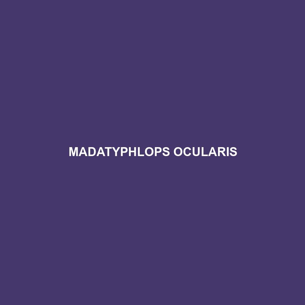 Madatyphlops ocularis