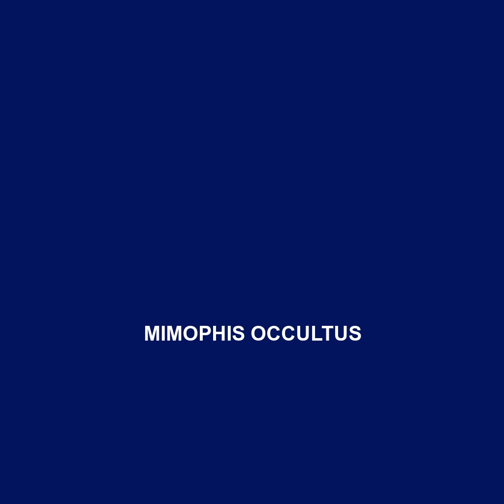 Mimophis occultus