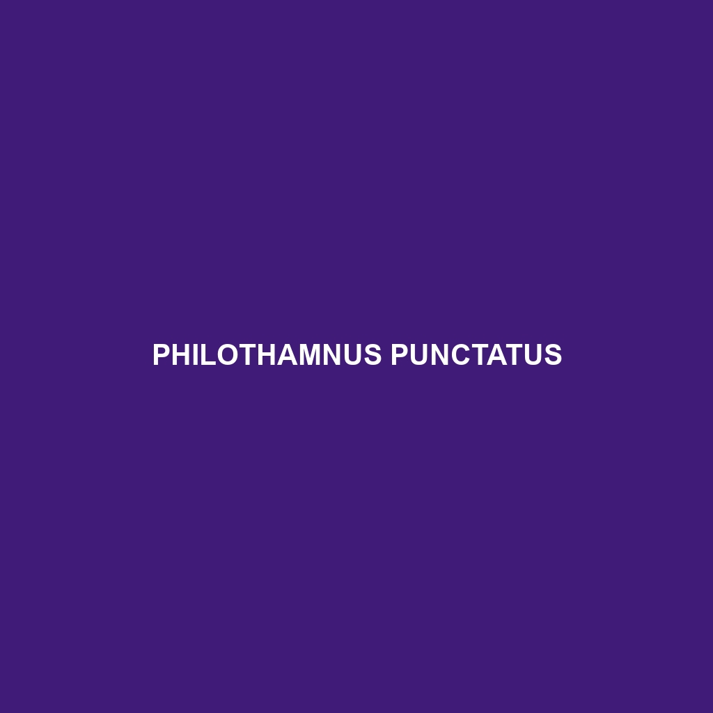 Philothamnus punctatus