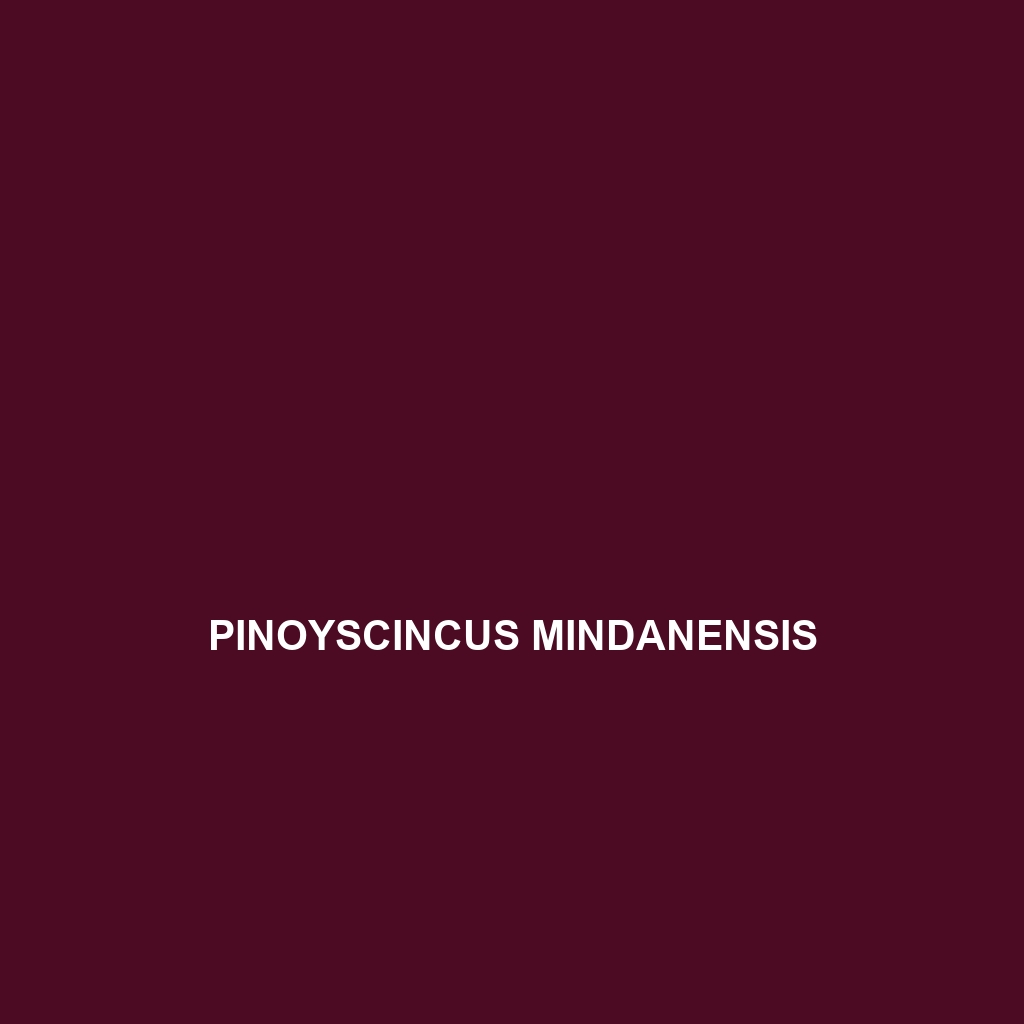 Pinoyscincus mindanensis