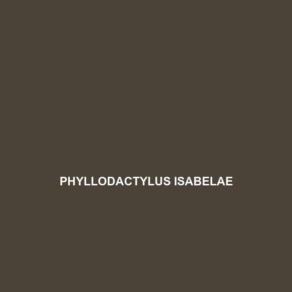 Phyllodactylus isabelae