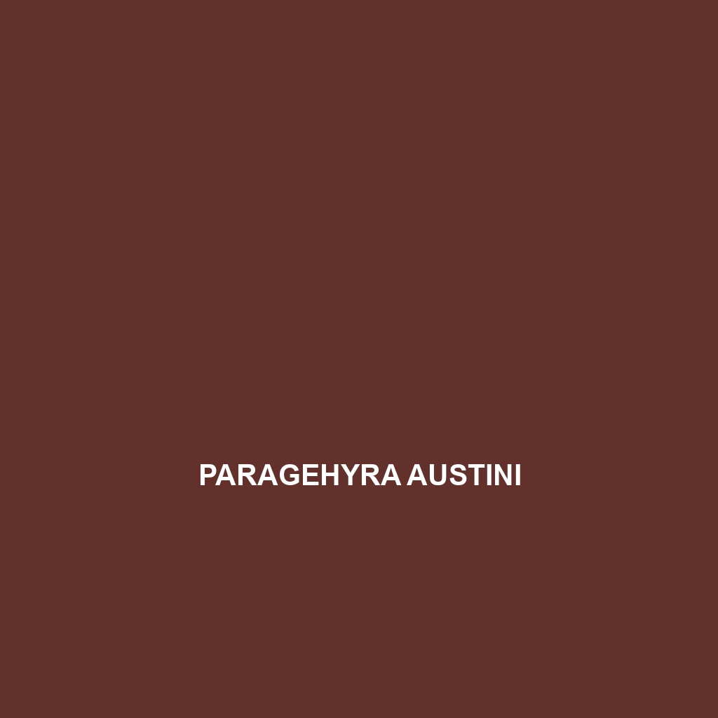 Paragehyra austini