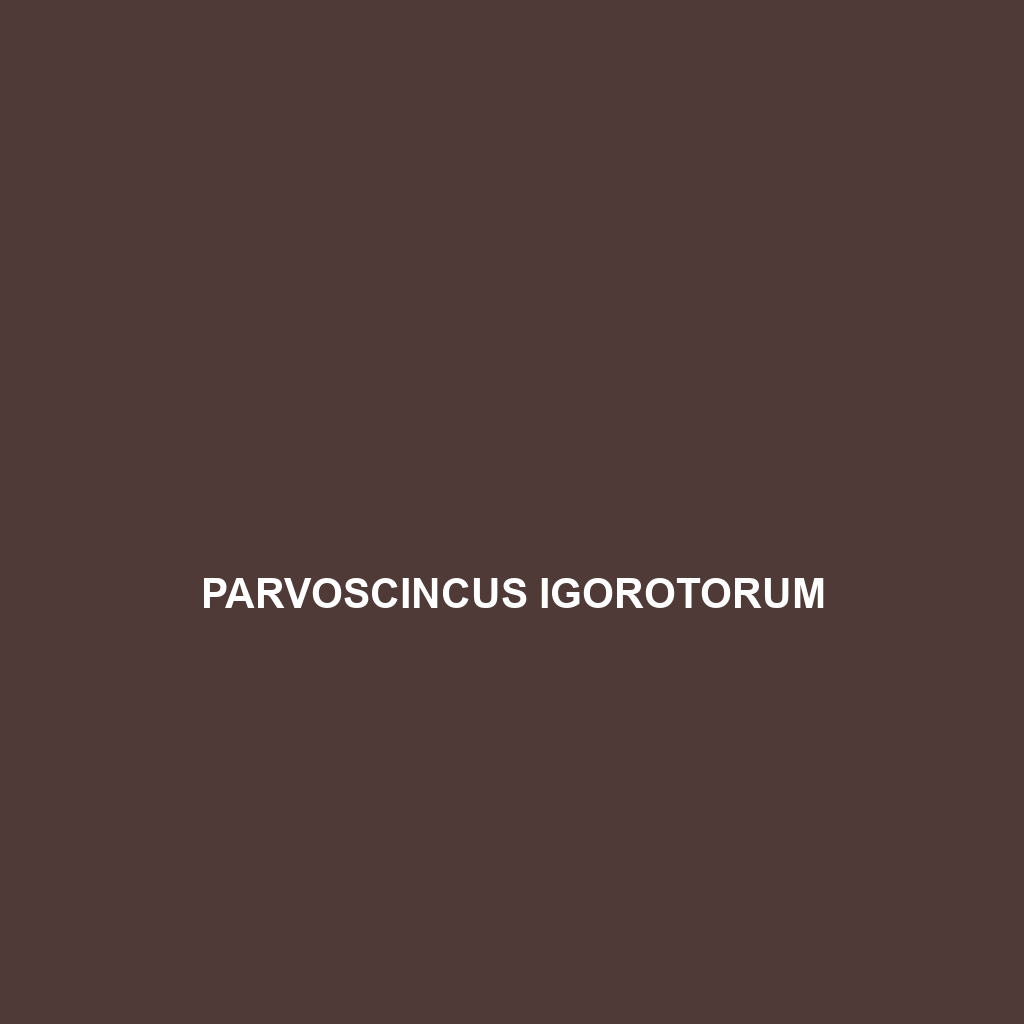 Parvoscincus igorotorum