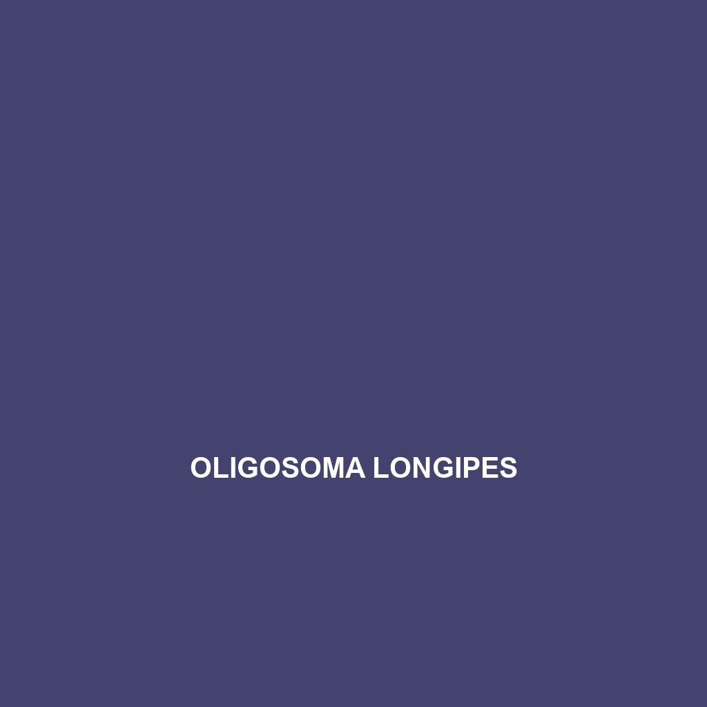 Oligosoma lineoocellatum