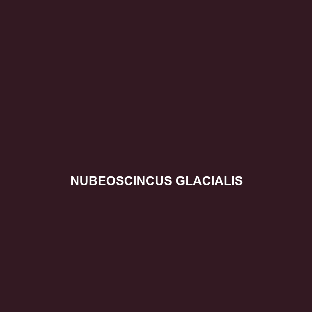 Nubeoscincus glacialis