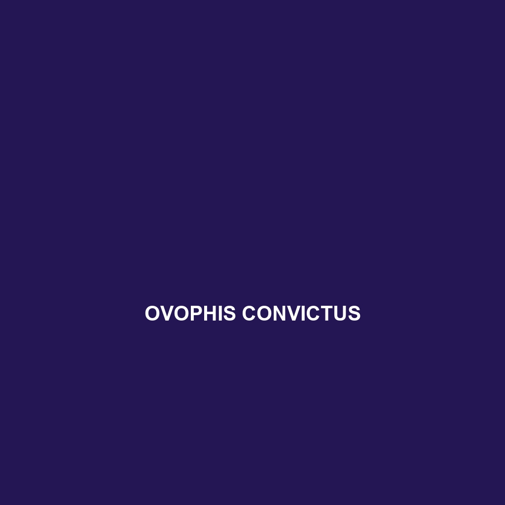 Ovophis convictus