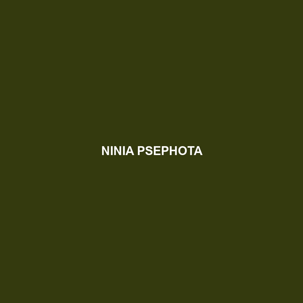 Ninia psephota