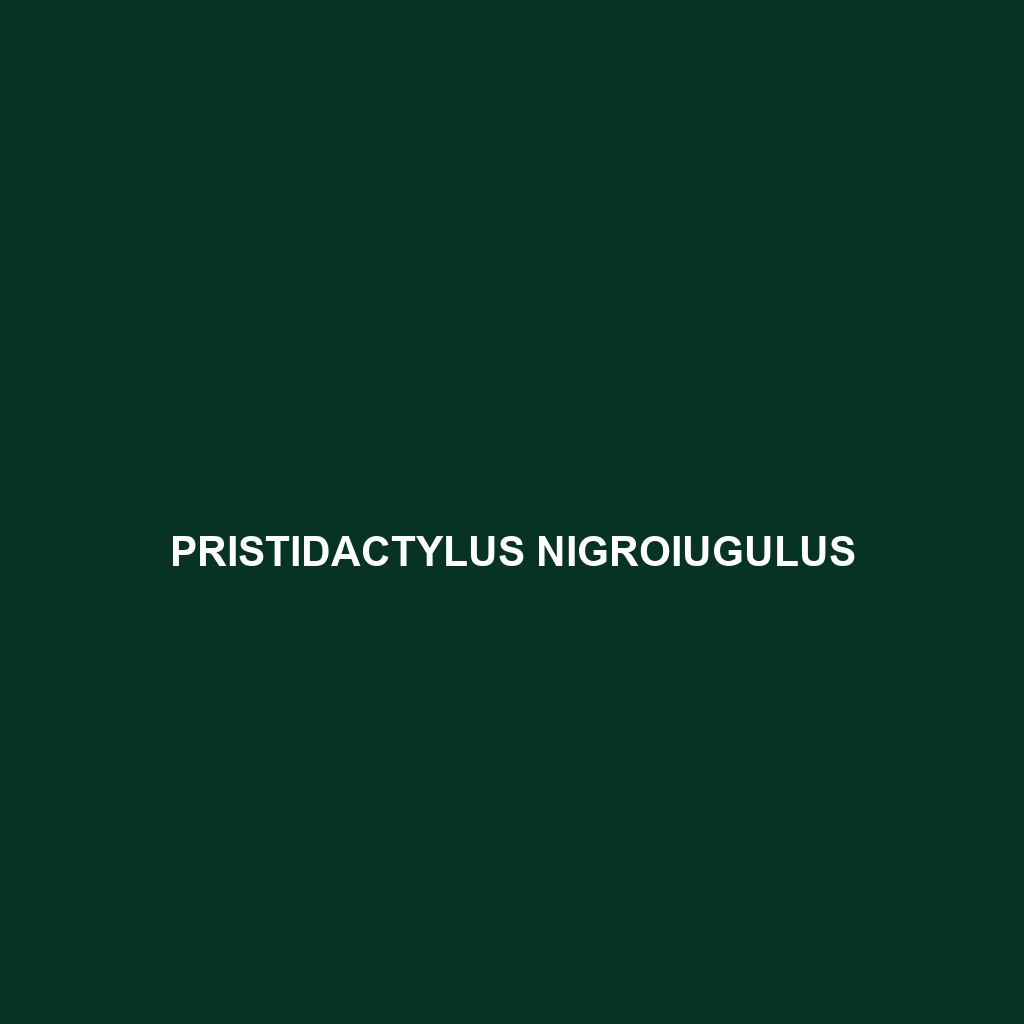 Pristidactylus nigroiugulus