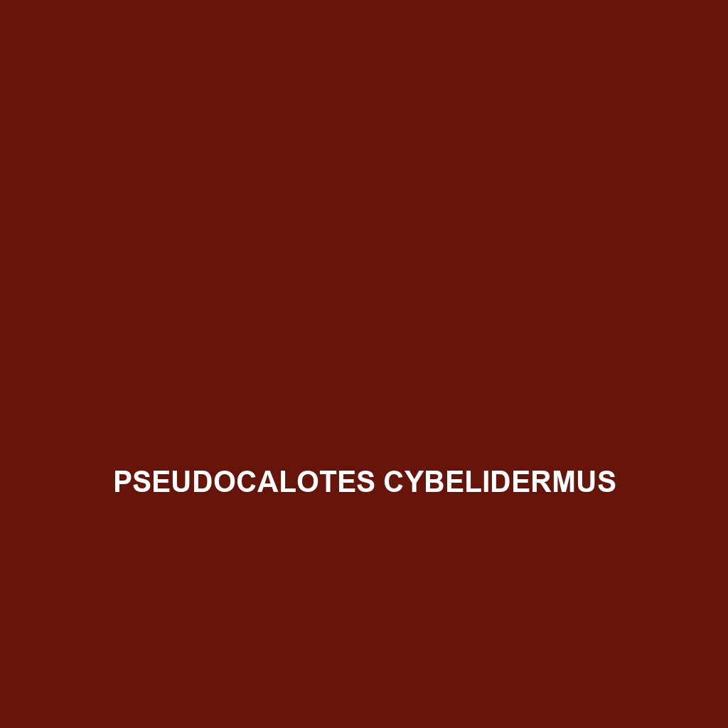 Pseudocalotes cybelidermus