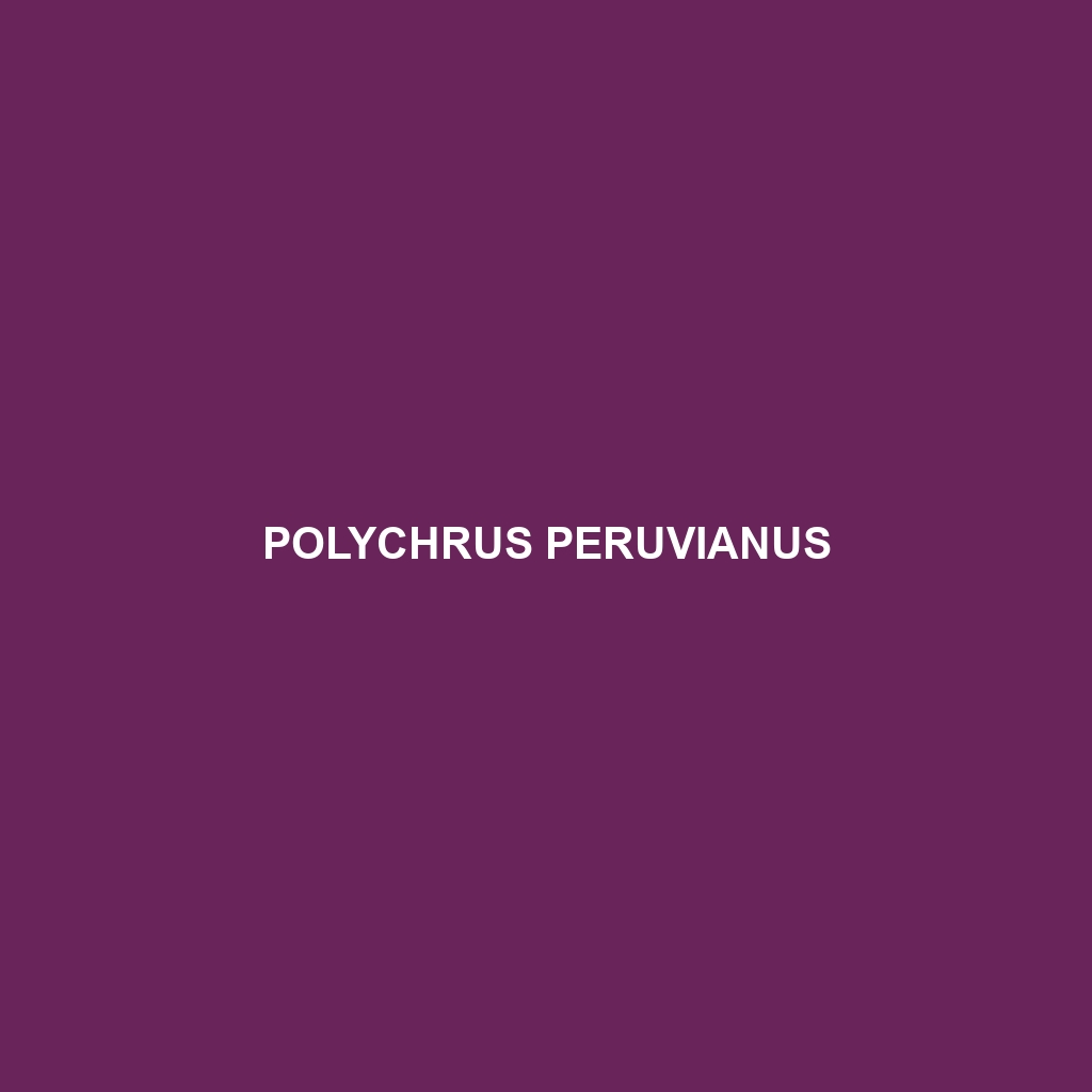 Polychrus peruvianus