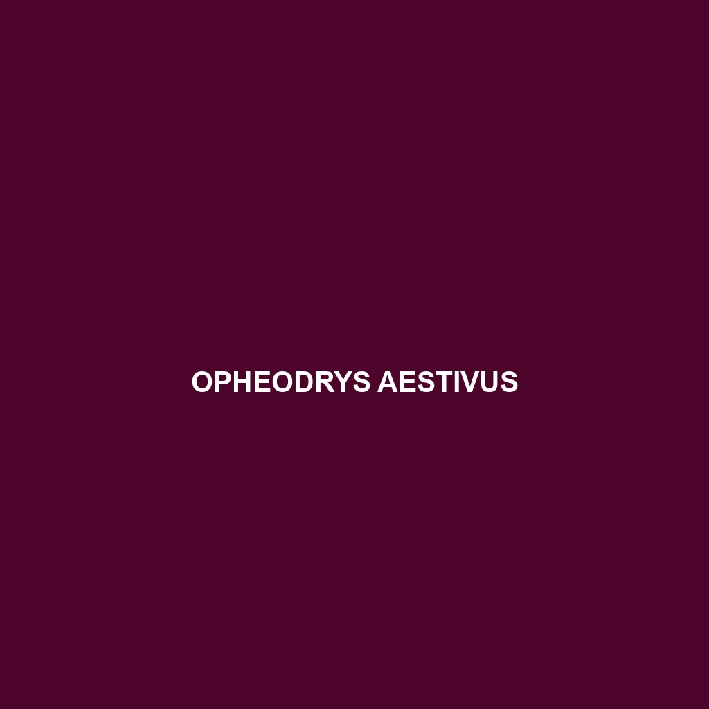 Opheodrys aestivus