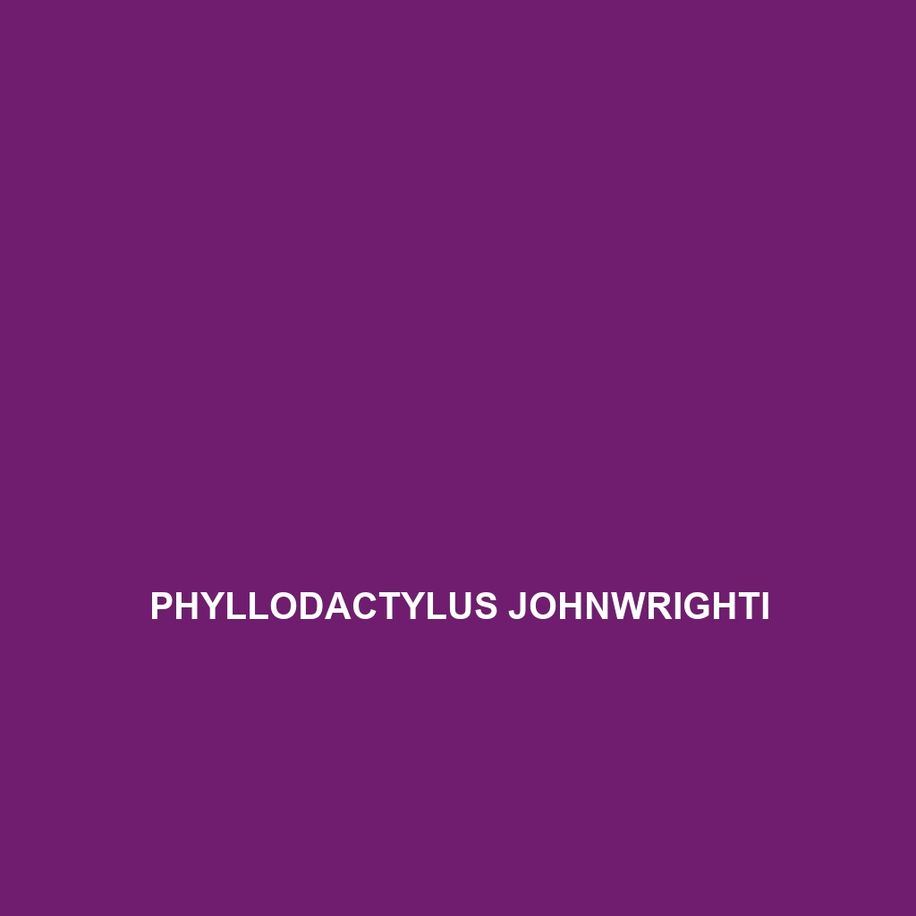 Phyllodactylus johnwrighti