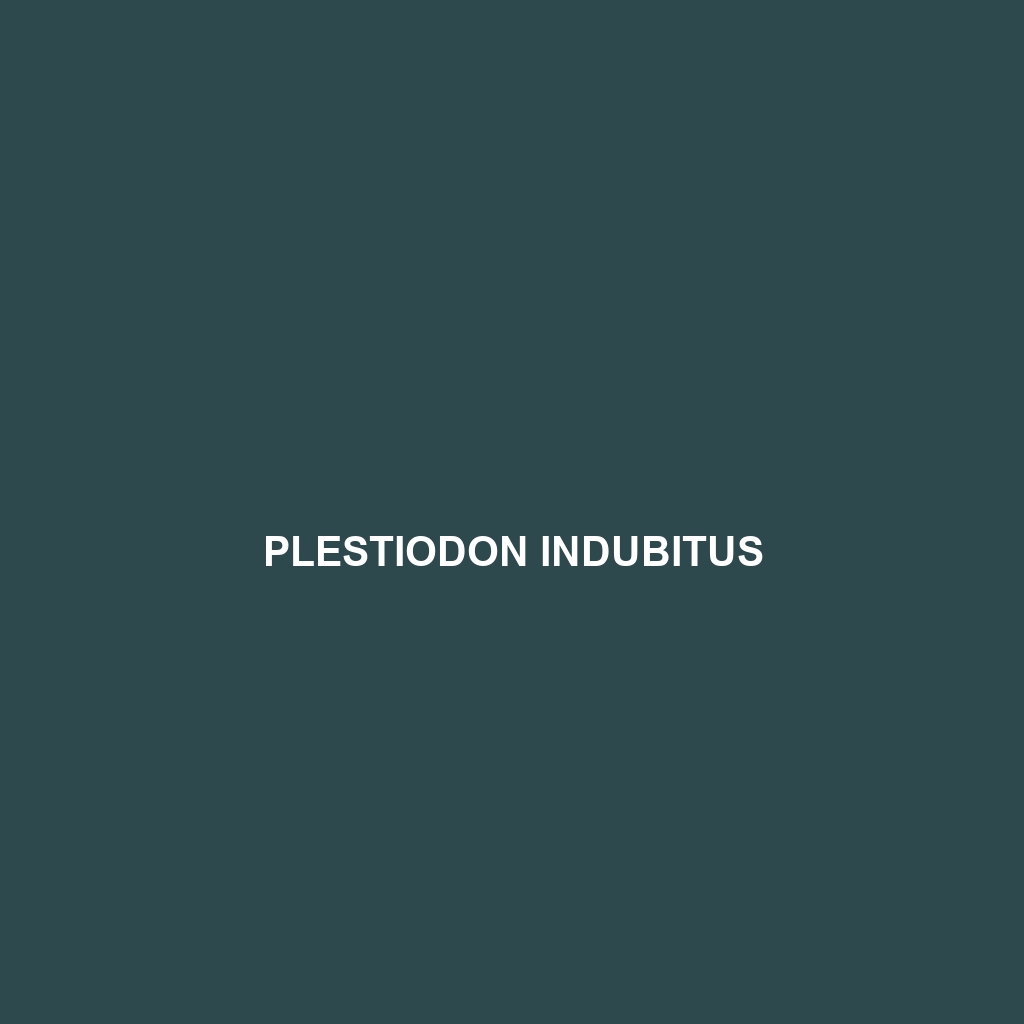 Plestiodon indubitus