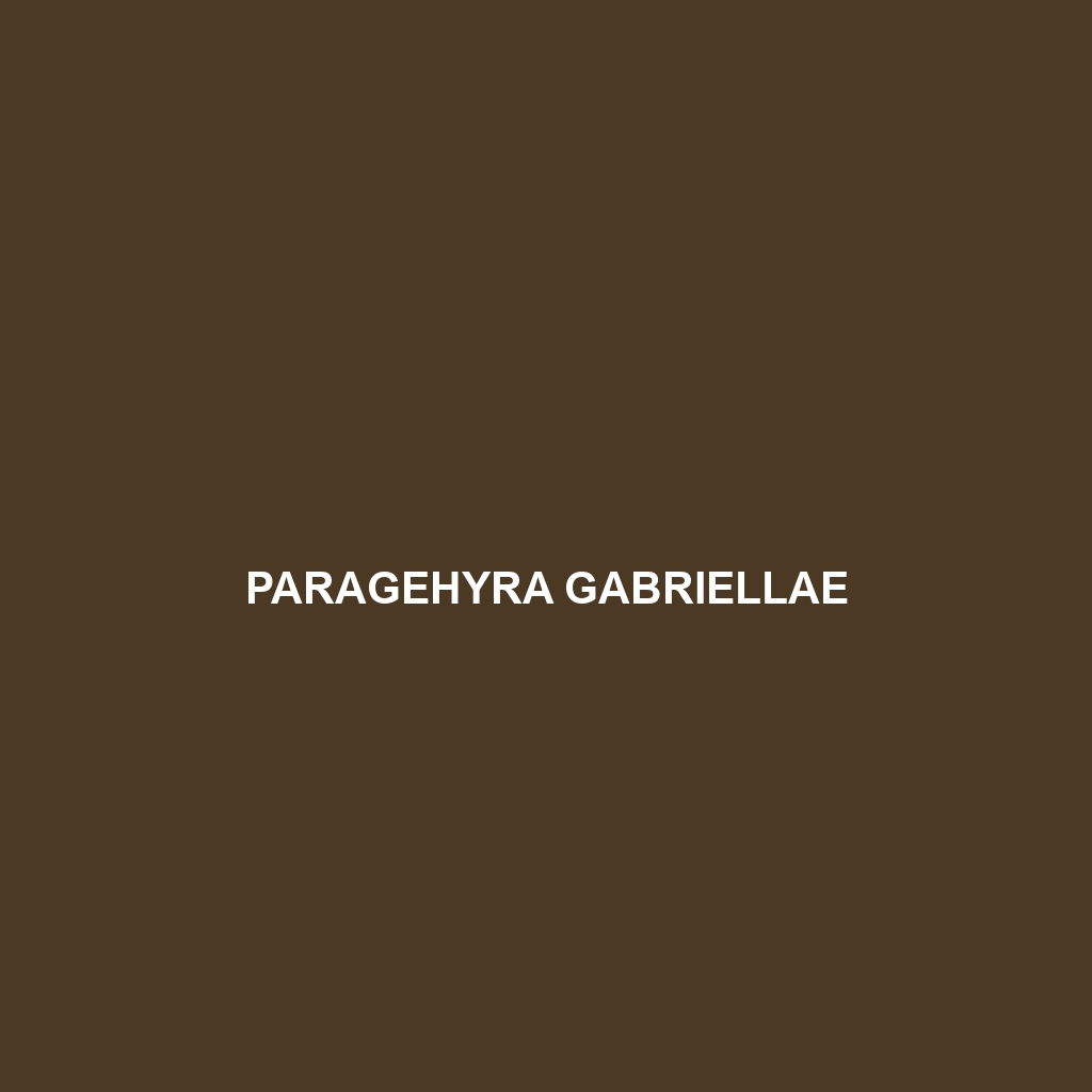 Paragehyra gabriellae