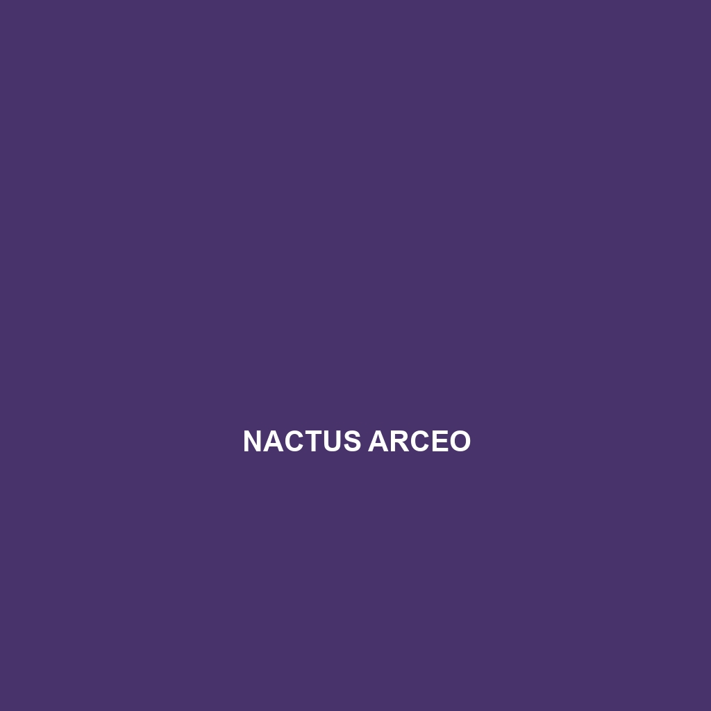 Nactus arceo