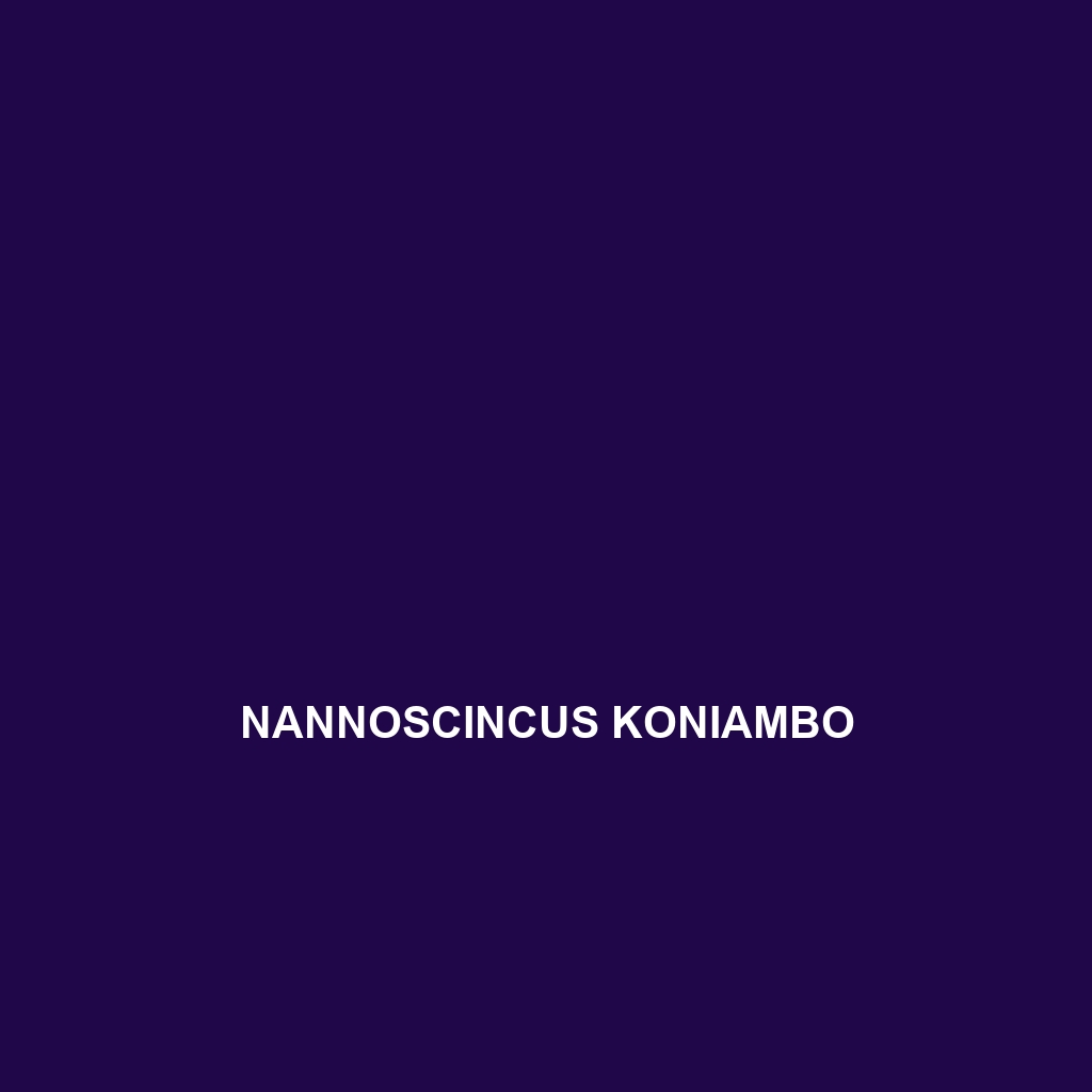 Nannoscincus koniambo