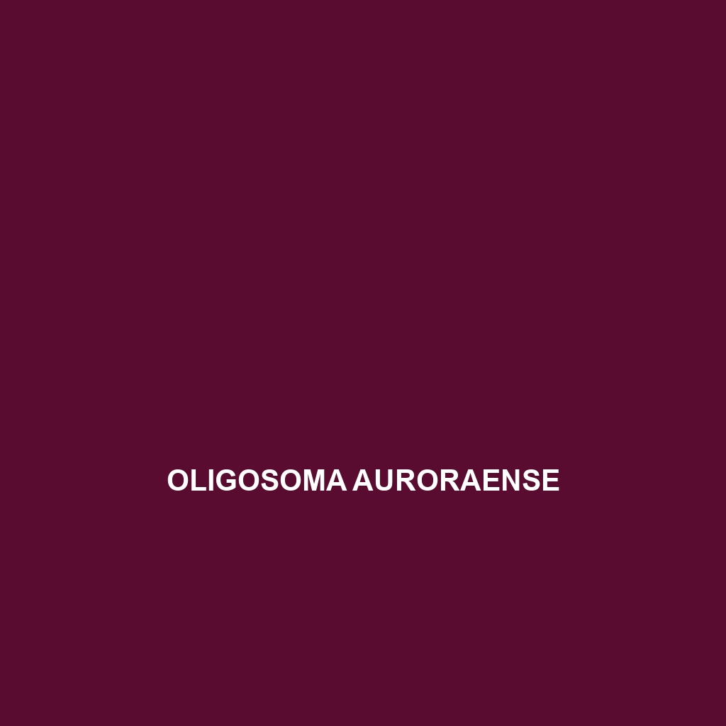 Oligosoma auroraense