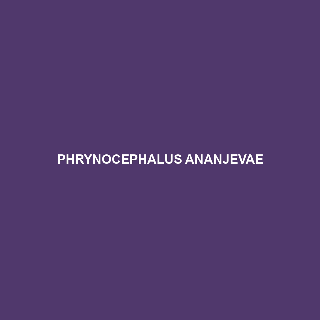 Phrynocephalus ananjevae