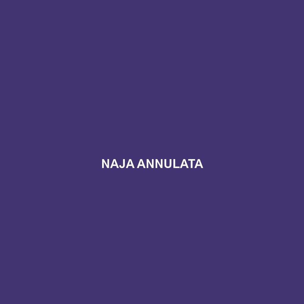 Naja annulata