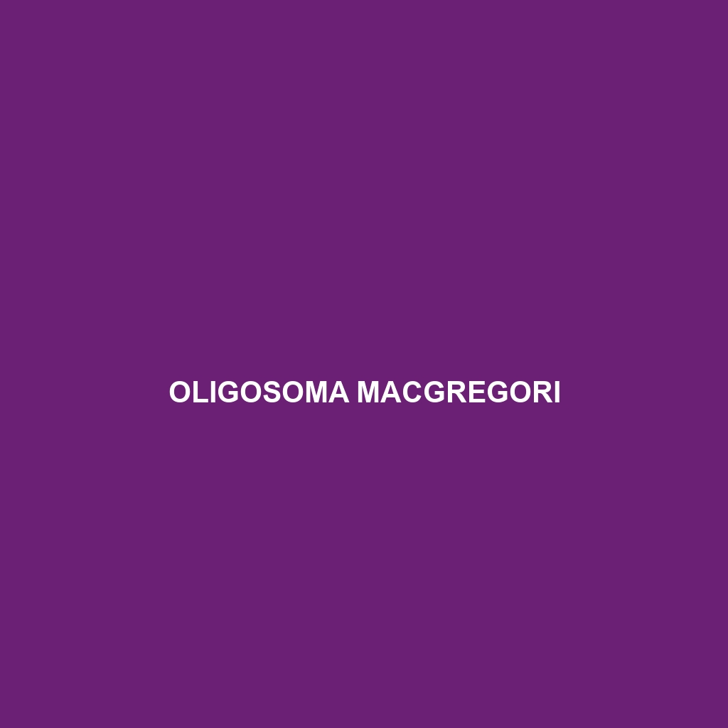 Oligosoma macgregori