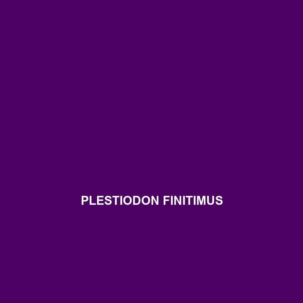 Plestiodon finitimus