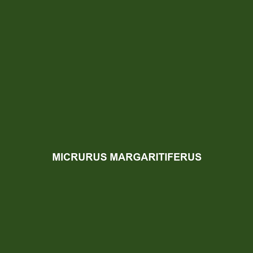 Micrurus margaritiferus