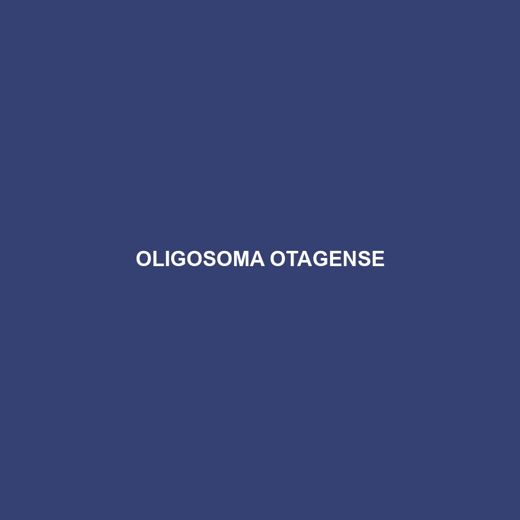 Oligosoma otagense