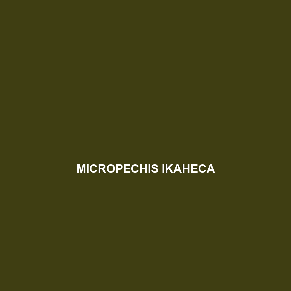 Micropechis ikaheca