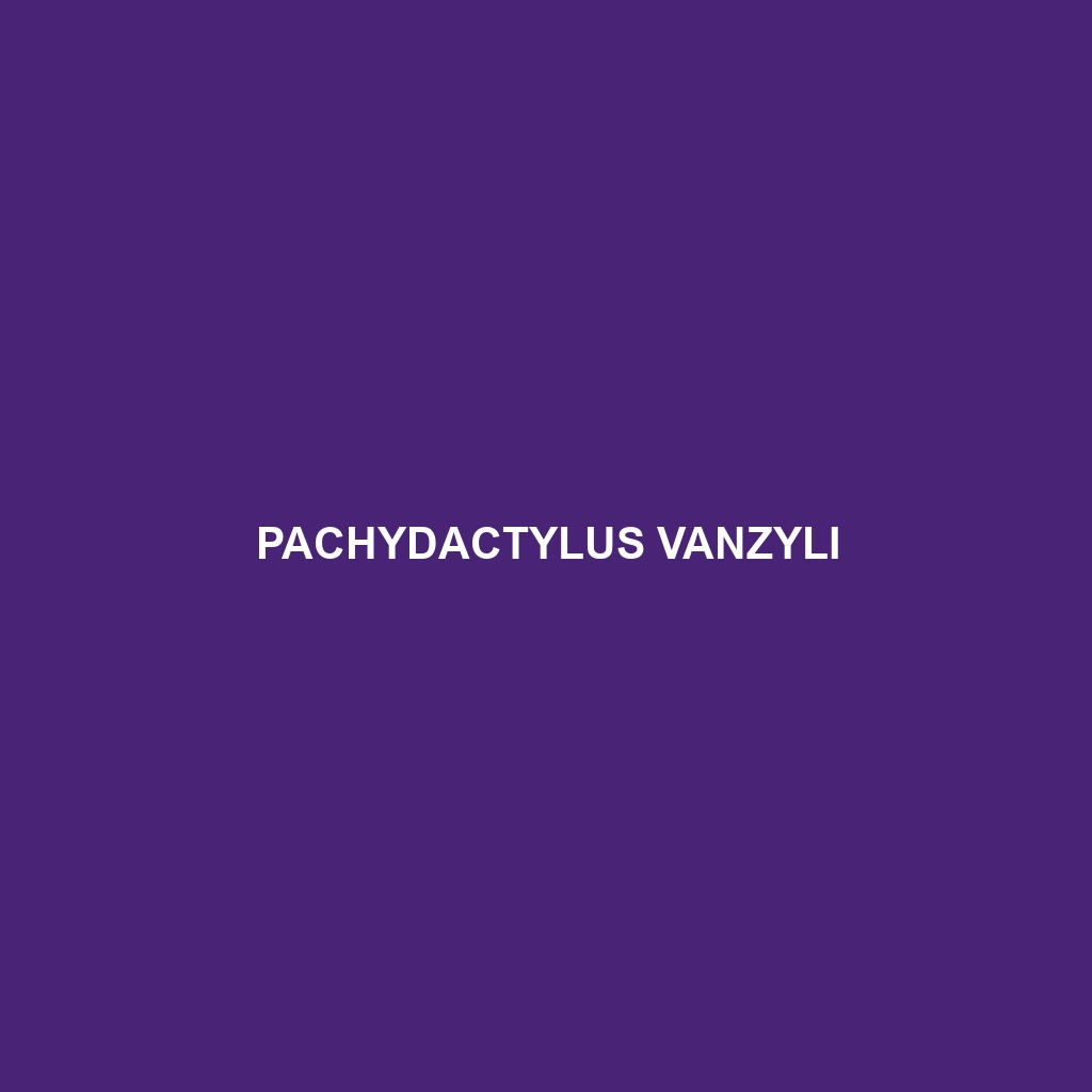 Pachydactylus vanzyli