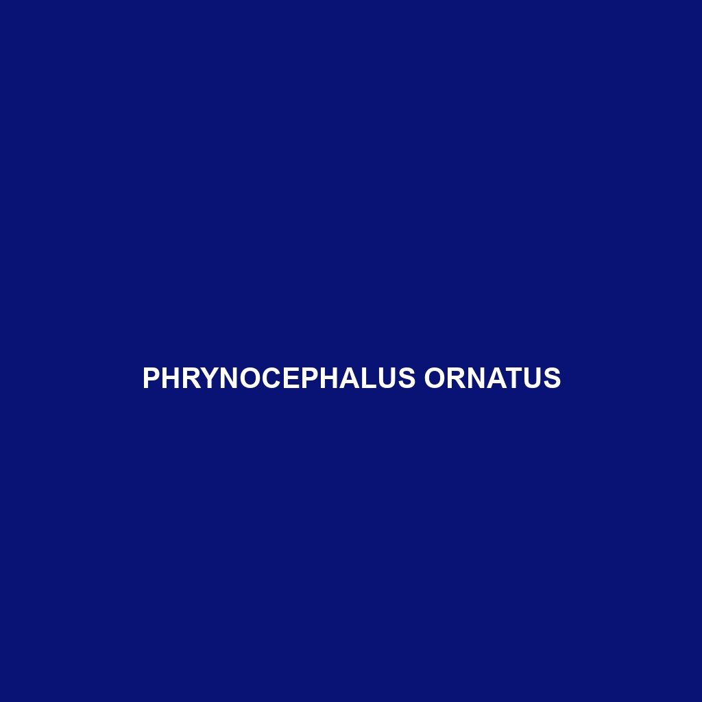 Phrynocephalus ornatus