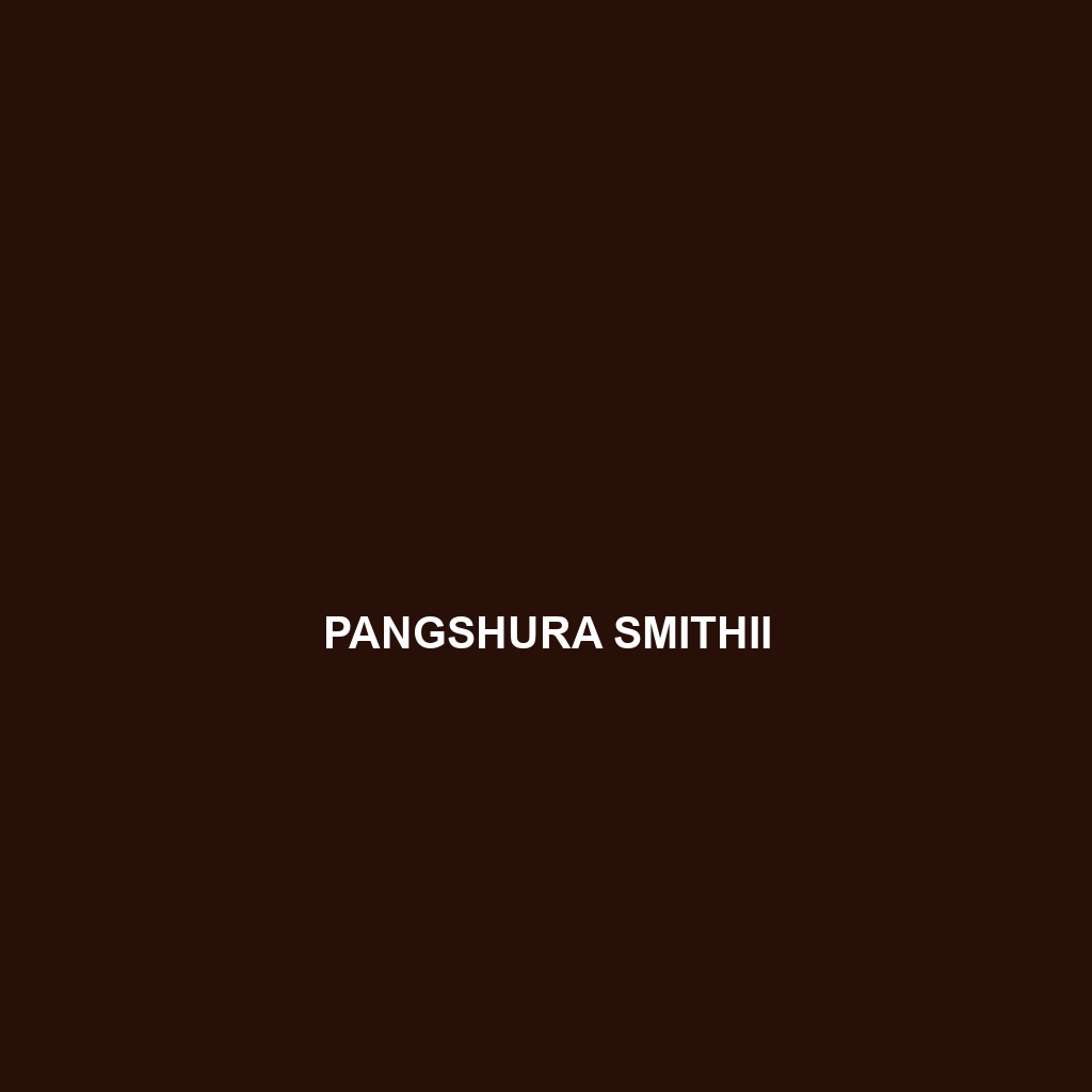 Pangshura smithii