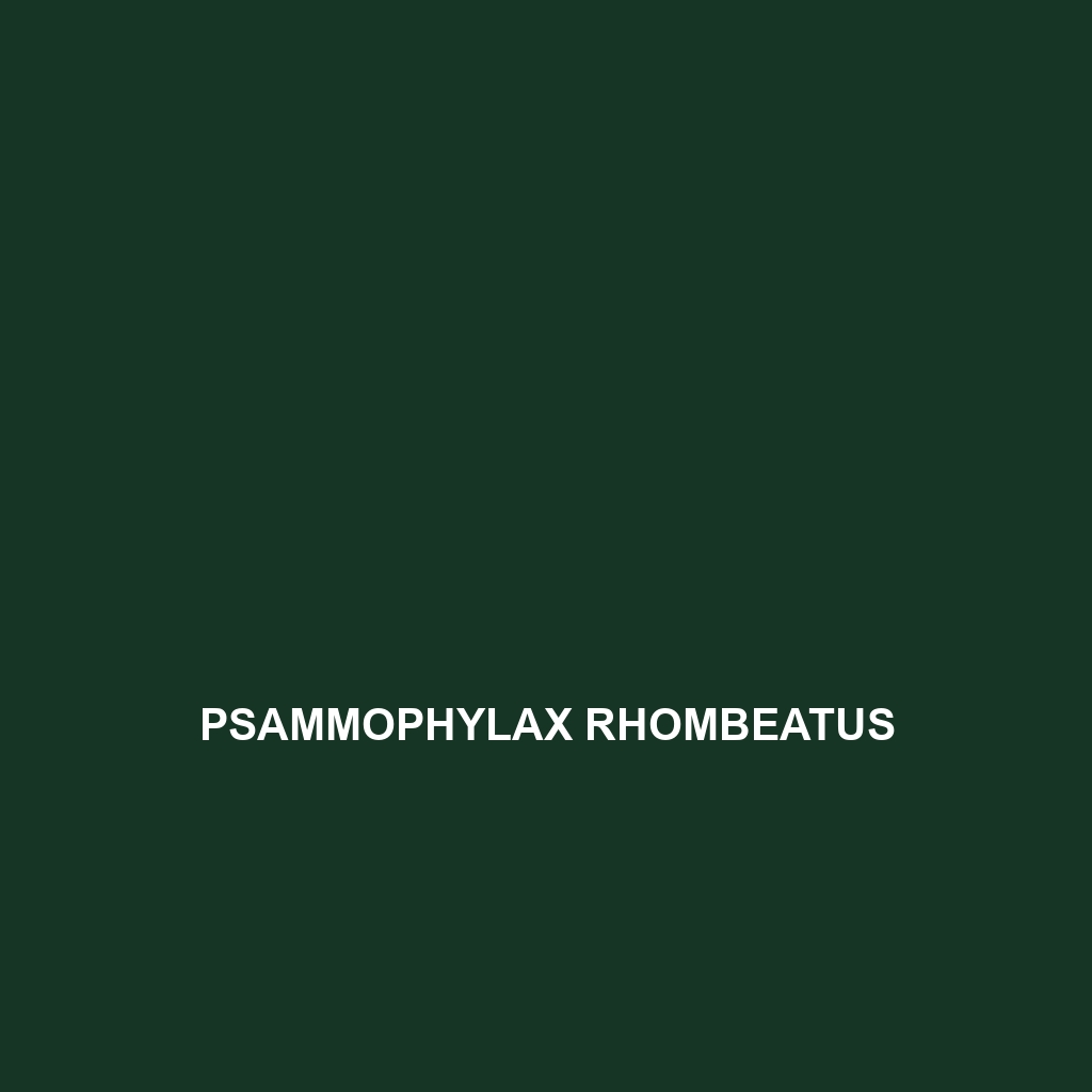 Psammophylax rhombeatus