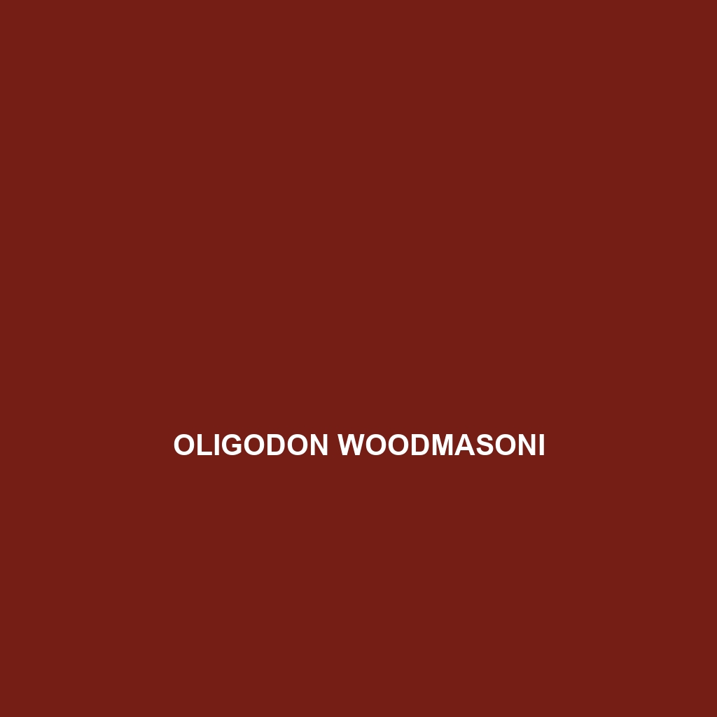 Oligodon woodmasoni