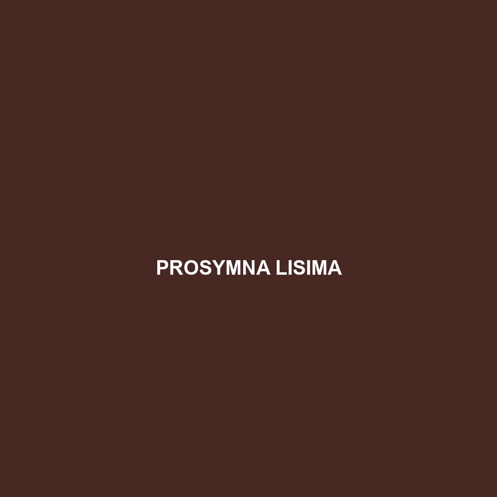 Prosymna lisima