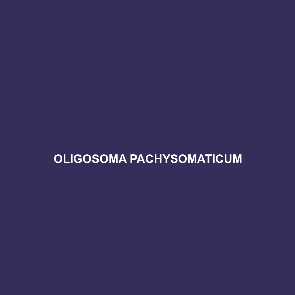 Oligosoma pachysomaticum