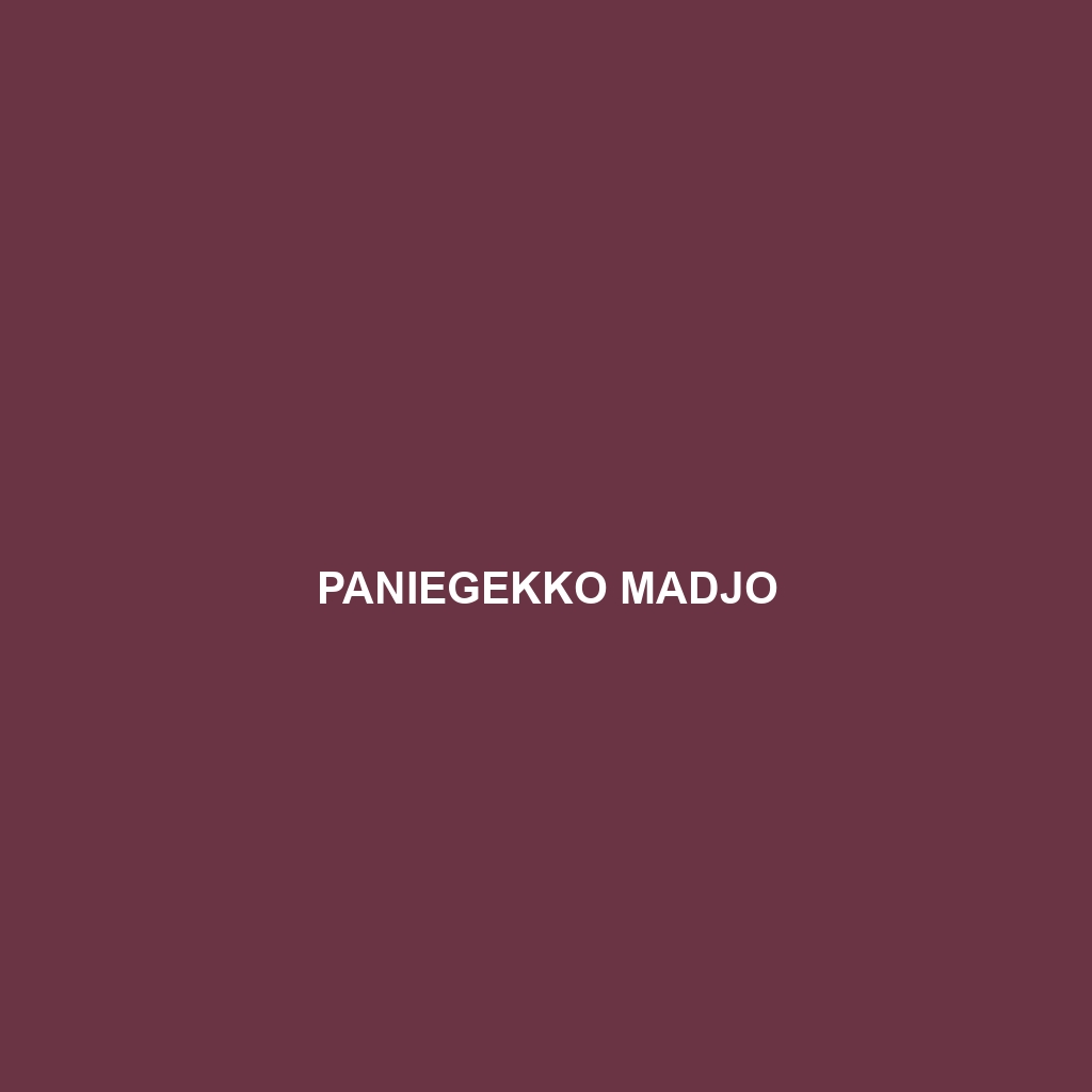 Paniegekko madjo