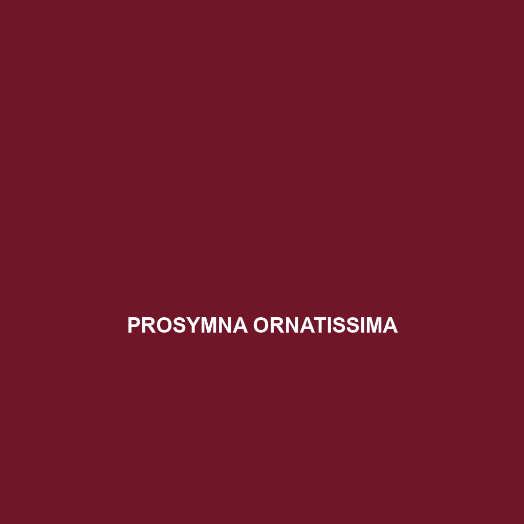 Prosymna ornatissima