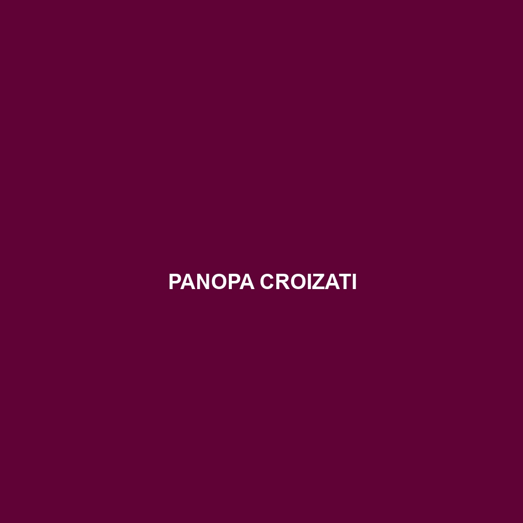 Panopa croizati