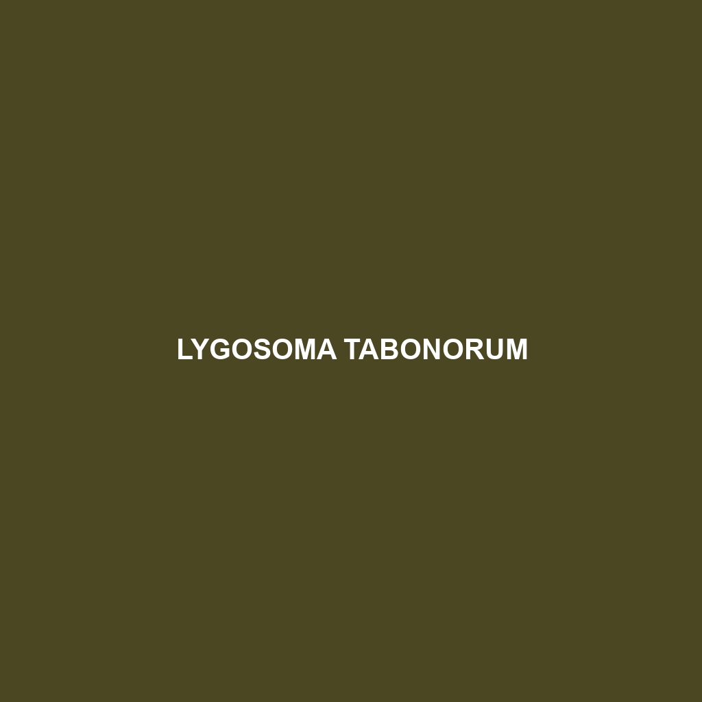 Lygosoma tabonorum