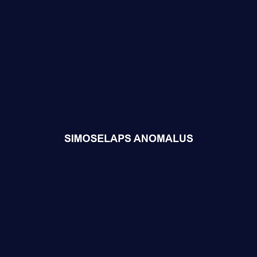 Simoselaps anomalus