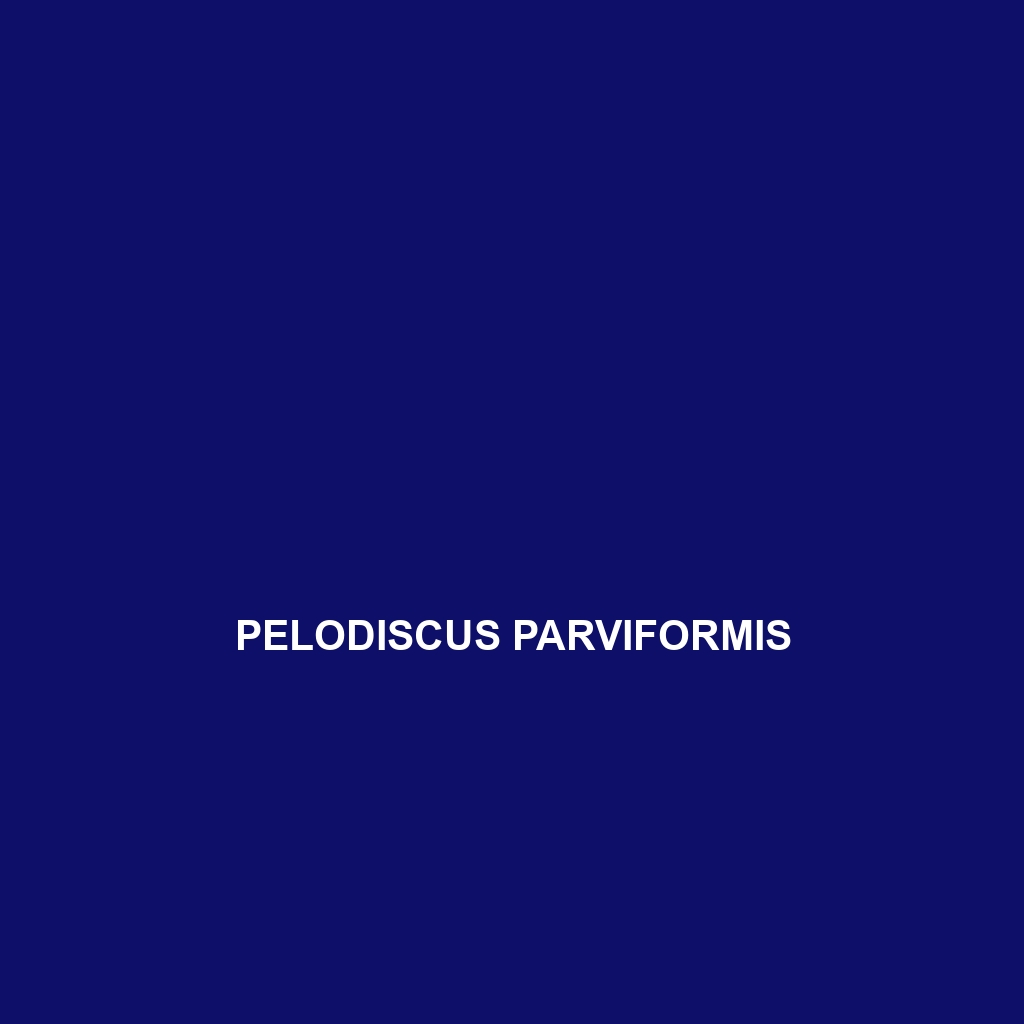 Pelodiscus parviformis