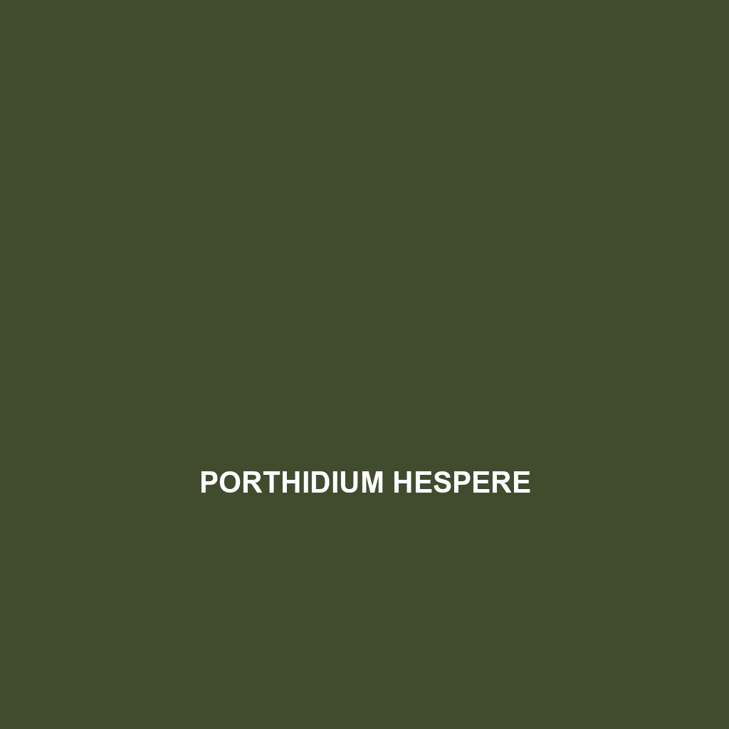 Porthidium hespere