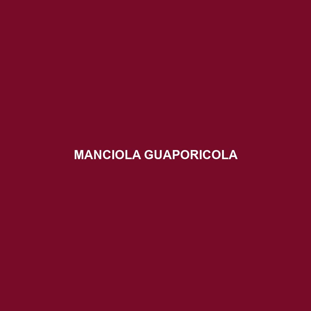 Manciola guaporicola